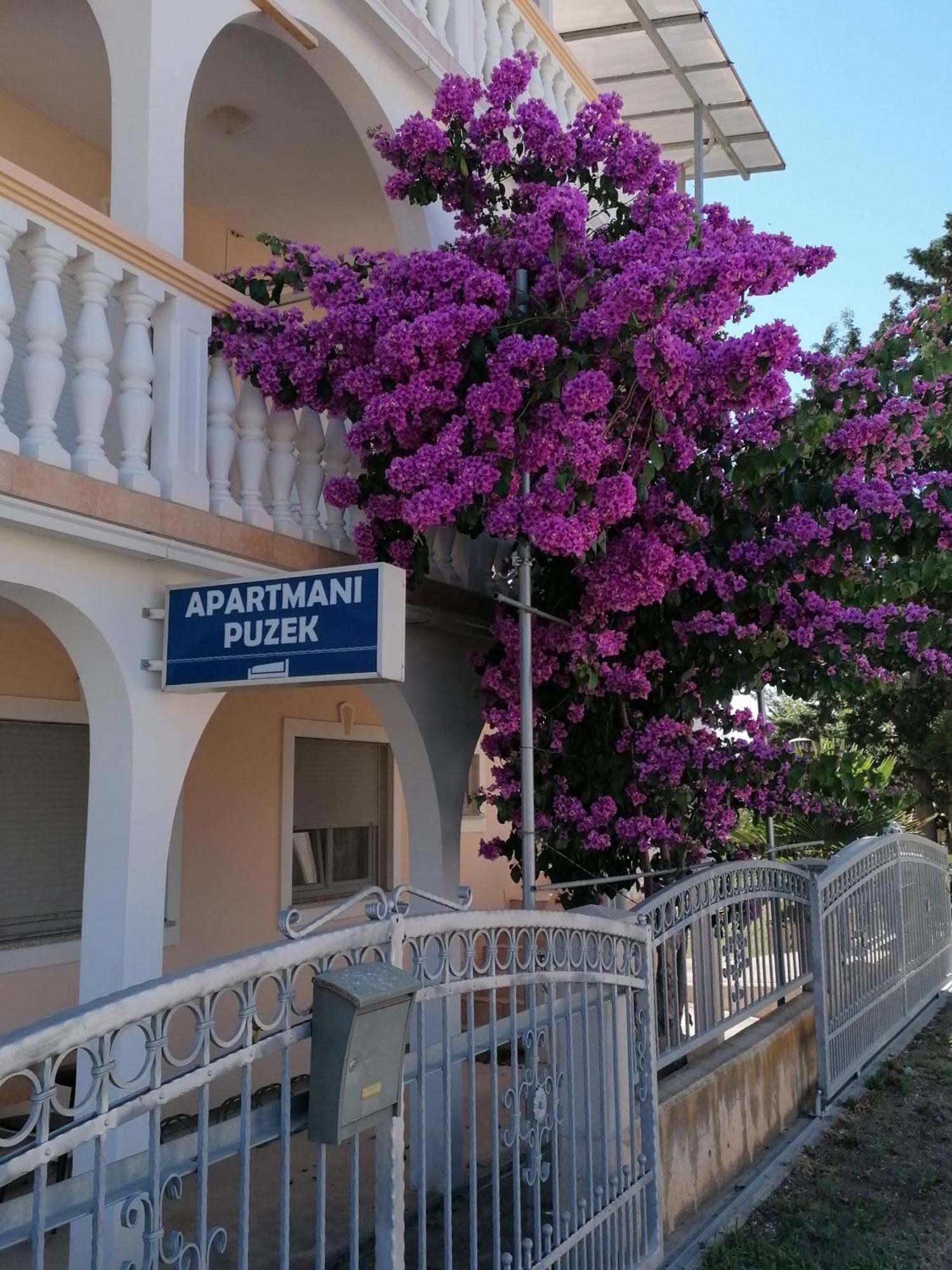 Apartmani Puzek Bibinje Exteriör bild
